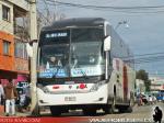 Neobus N10 380 / Scania K410 / Moraga Tour