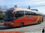 Irizar I6 3.90 / Volvo B420R / Pullman Bus