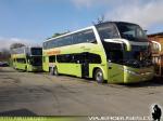 Unidades Doble Piso / Tur-Bus