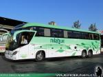 Mascarello Roma 370 / Volvo B430R / Nilahue