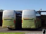 Busscar Jum Buss 380 / Mercedes Benz O-500RS / Tur-Bus