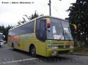 Busscar El Buss 340 / Mercedes Benz OF-1721 / Buses Fierro