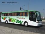 Busscar El Buss 340 / Volvo B7R / Nilahue