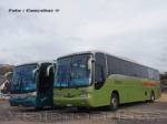 Comil Campione 3.45 / Mercedes Benz OH-1628 / Tur-Bus