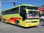 Busscar Jum Buss 360 / Scania K113 / Tepual