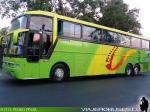 Busscar Jum Buss 380 / Scania K113 / Tepual