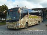 Irizar Century 3.90 / Mercedes Benz O-500RSD / Linea Azul