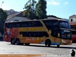 Modasa New Zeus II / Volvo B11R / Bus Norte