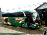 King Long XMQ6130Y / Bus Sur