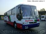 Busscar El Buss 340 / HVR Detroit / Regional Sur