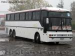 Busscar Jum Buss 360 / Scania K113 / Tepual