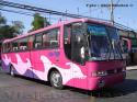 Busscar El Buss 340 / Volvo B7R / Via-Tur