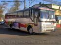 Busscar El Buss 340 / Mercedes Benz OF-1620 / Pullman Contimar