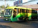 Maxibus Lince 3.45 / Mercedes Benz OF-1721 / Interbus