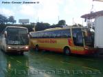 Flota de Buses Cruz del Sur