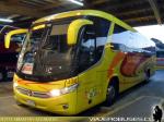 Unidades Mercedes Benz OC-500RF / Igi Llaima