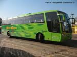 Busscar Vissta Buss LO / Mercedes Benz O-500R / Buses Fierro