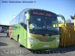 Irizar Century Luxury / Scania K380 / Linea Azul