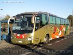 Irizar Century / Scania K310 / Salón Villa Prat