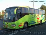 Irizar Century / Volkswagen 17-240 OT / Via Costa