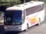 Marcopolo Viaggio 1050 / Scania K124IB / Pullman del Sur