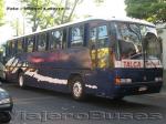 Marcopolo Viaggio GV1000 / Scania L113 / Tepual