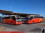 Irizar Century / Scania K124IB / Pullman Bus