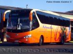 Yutong ZK6129HE / Pullman Bus