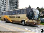 Marcopolo Viaggio 1050 / Volvo B9R / Pullman Sur