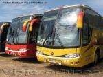 Flota de Buses Queilen Bus  / Especial Caminata Los Andes 2010