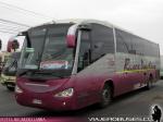 Irizar Century / Mercedes Benz O-500R / Buses Pacheco por CruzMar - Servicio Especial