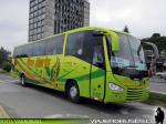 Irizar Century / Mercedes Benz OF-1722 / Bus Norte