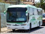 Comil Campione 3.45 / Mercedes Benz O-400RSE / Nilahue - Servicio Especial