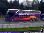 Modasa New Zeus II / Mercedes Benz O-500RSD / Condor Bus