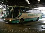 Unidades de Buses Empresas Cruz del Sur