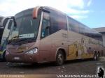 Unidades Irizar Century 3.90 / Mercedes Benz O-500RSD / Linea Azul