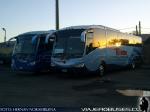 Unidades Irizar Century / Mercedes Benz O-500RS & Volkswagen 18.310 / Pullman Florida