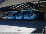 Flota Buses Bio-Bio