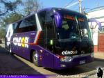 Flota de Buses Condor