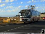 Flota de Buses Interbus