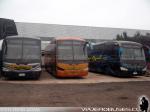 Flota de Buses Linea Azul