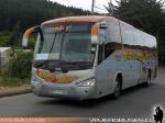 Unidades Irizar Century / Scania - Mercedes Benz - Volkswagen / Linea Azul