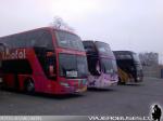 Flota de Buses Linatal