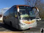 Flota de Buses Linea Azul