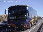 Flota de Buses Irizar Linea Azul