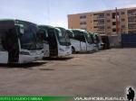 Flota de Buses Nilahue