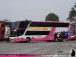 Flota de Buses Queilen Bus