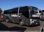 Higer / Interbus