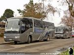 Unidades Higer / Talmocur - Interbus