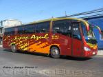 Irizar Century / Scania K310 / Linea Azul